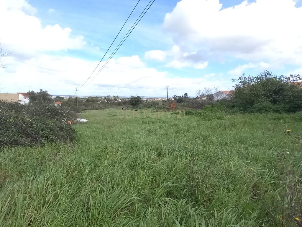 Terreno Urbano em Alfarelos com potencial para construção de moradias. - Image 2